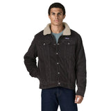 Men’s Pile Lined Trucker Jacket Patagonia