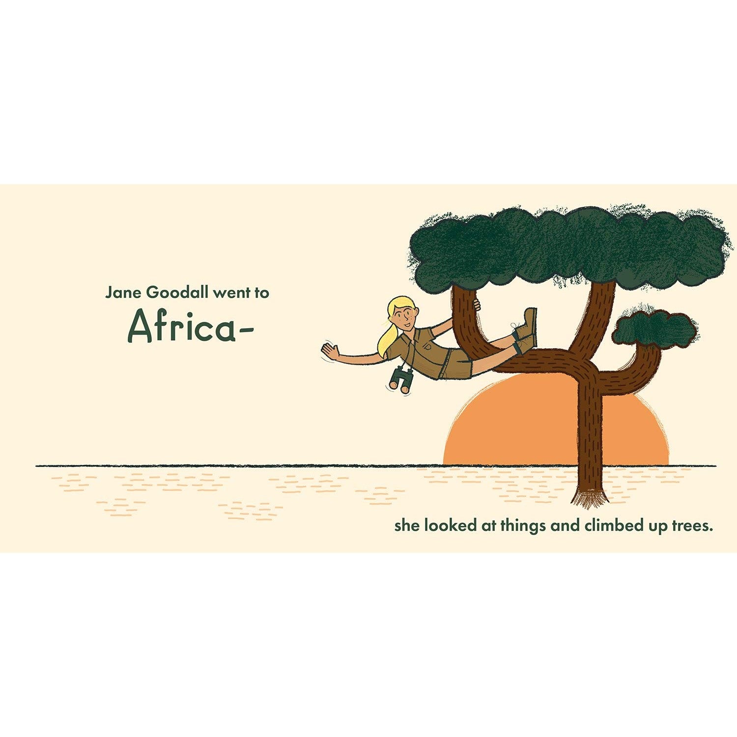 Little Naturalists | Jane Goodall Gibbs Smith