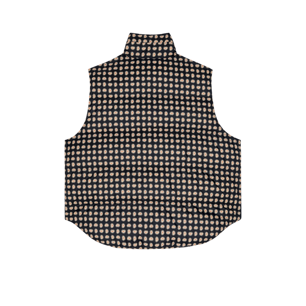 Women’s The Polar Vest GREAT