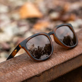 Paso Robles Knockaround