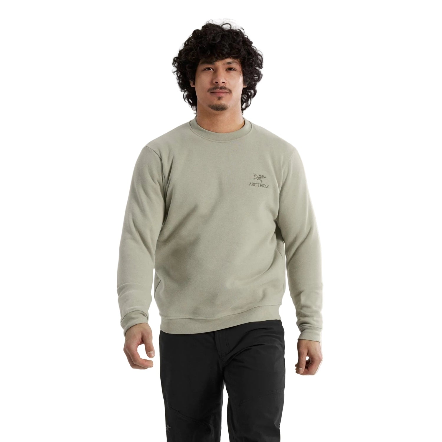 Men’s Emblem Fleece Crew Neck Pullover Arc’teryx - 019001