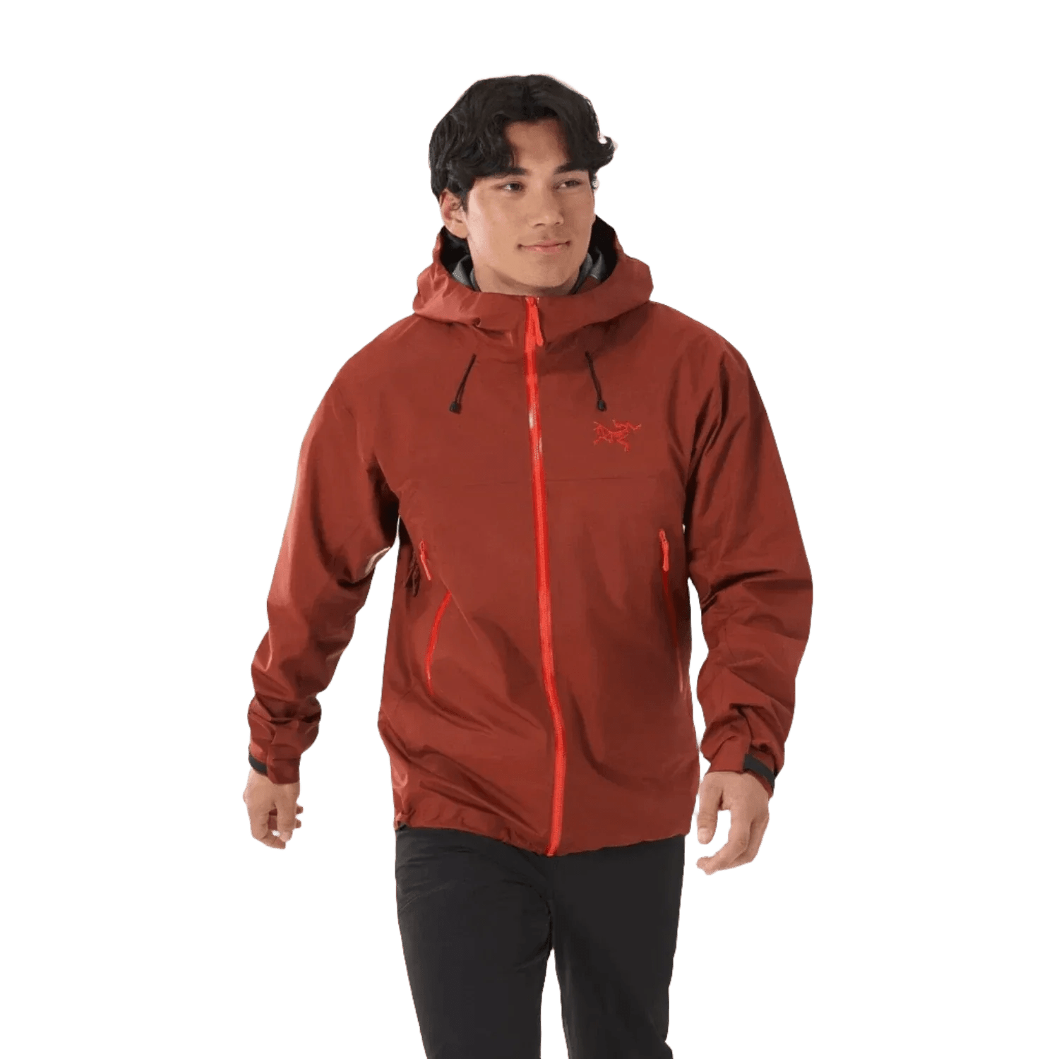 Men’s Beta SL Jacket Arc’teryx - SEQUOIA | SOLARIS / S