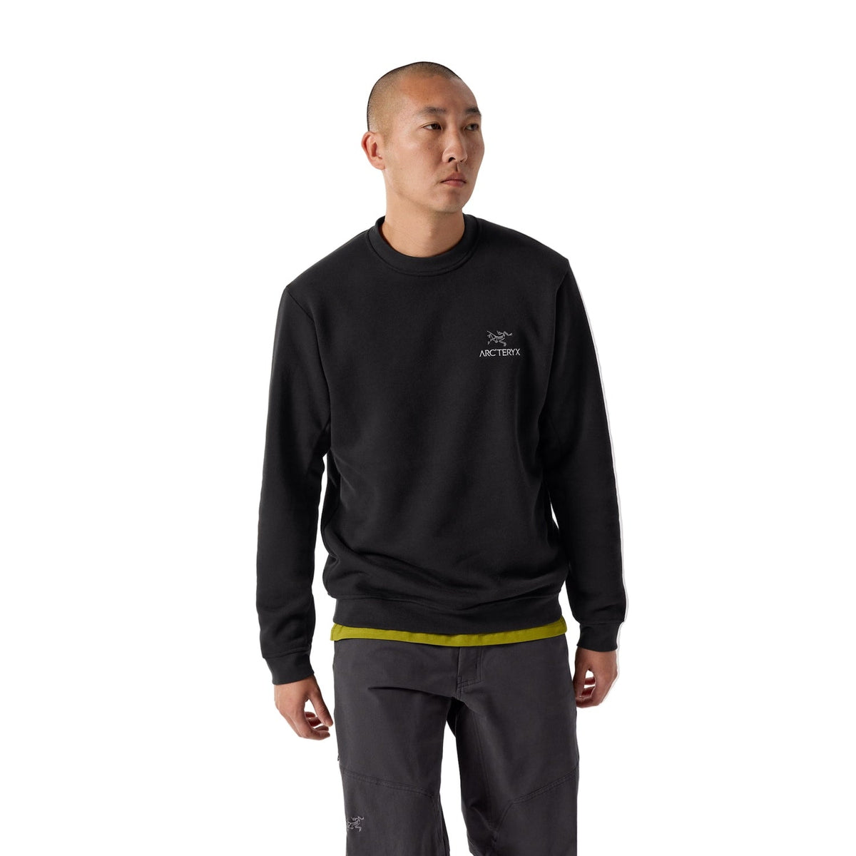 Men’s Emblem Fleece Crew Neck Pullover Arc’teryx - BLACK / S
