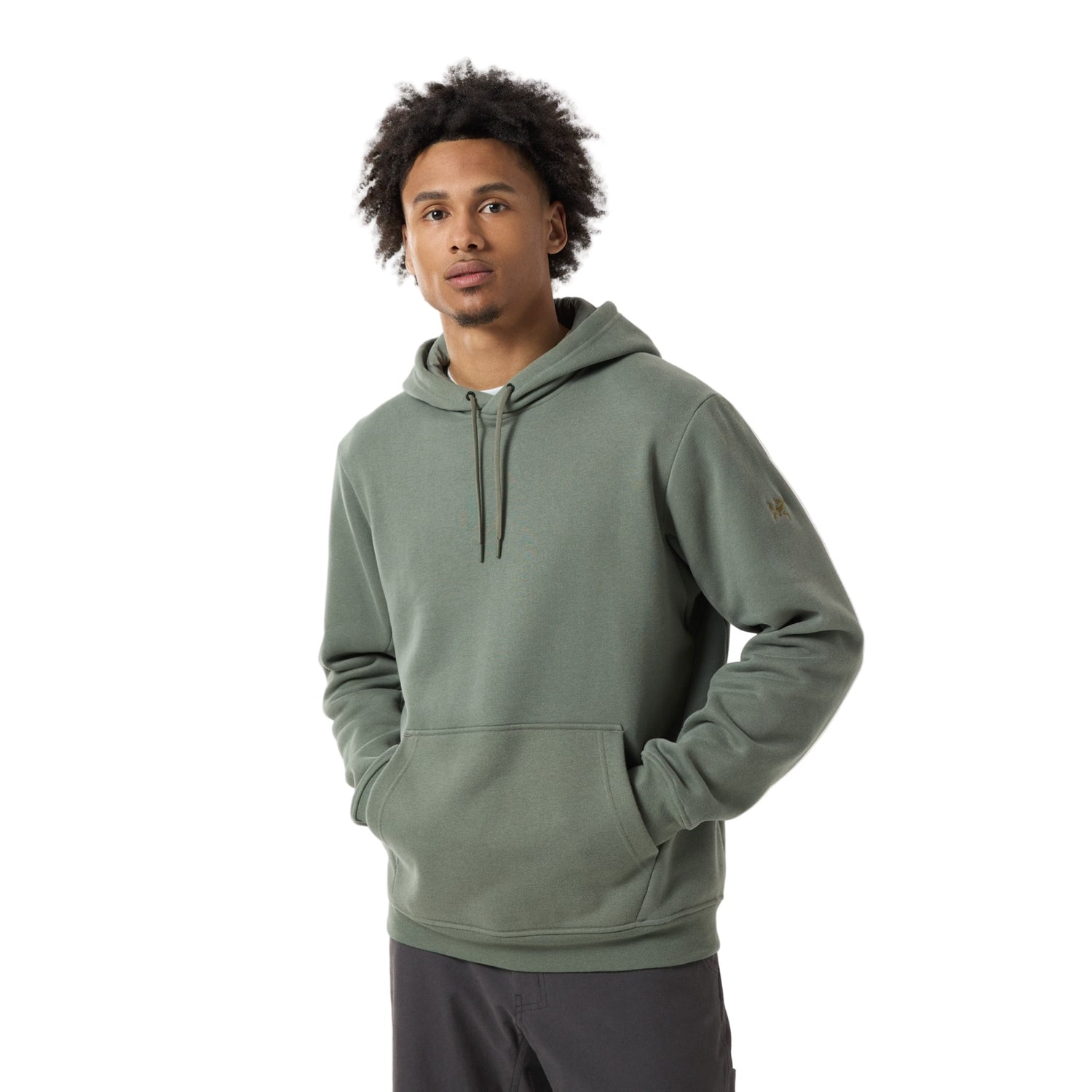 Men’s Emblem Fleece Hoody Arc’teryx - FORAGE / S