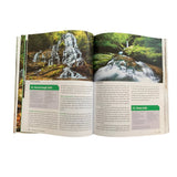 Waterfalls of Georgia