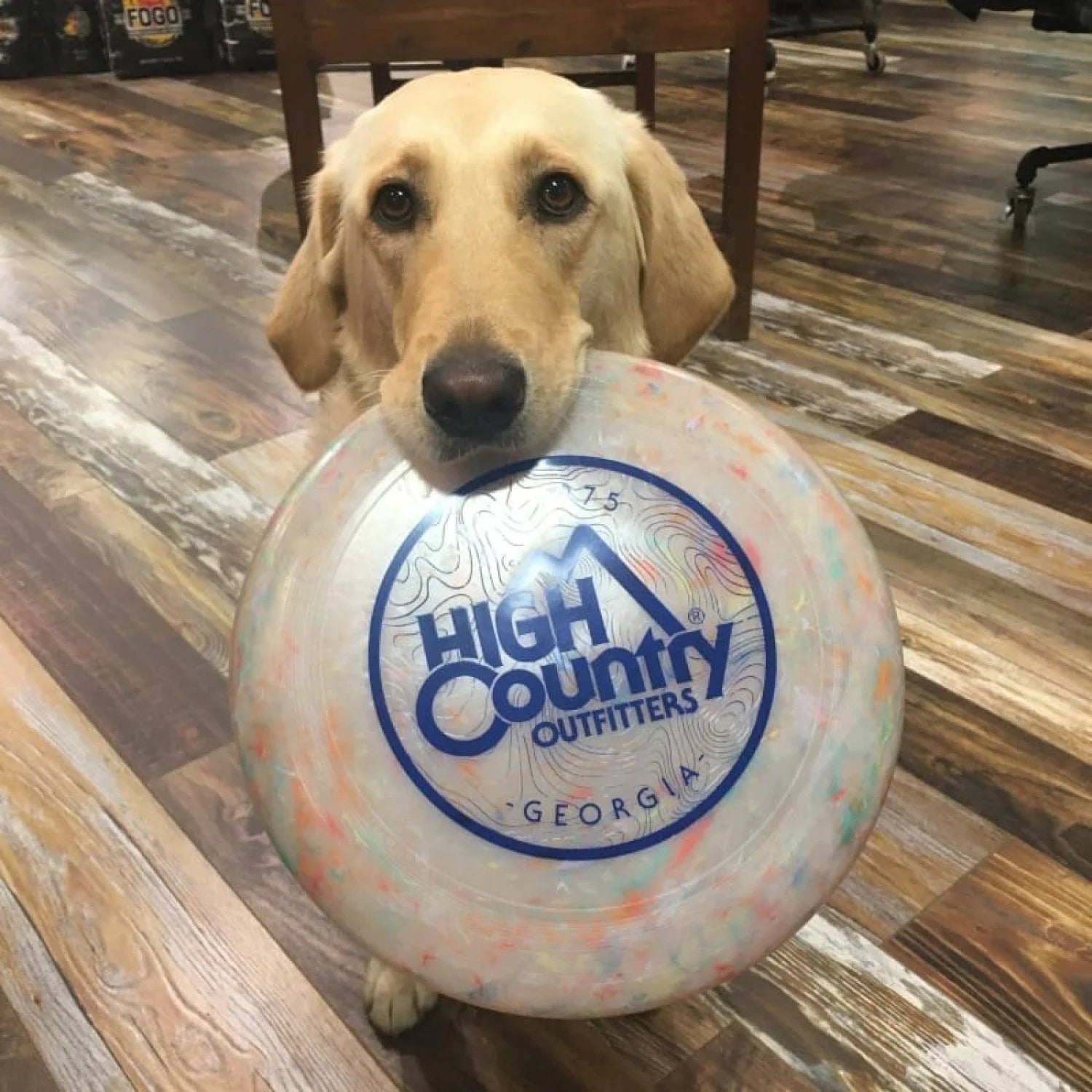 HC Circle Logo Frisbee High Country Outfitters