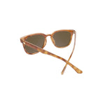 Paso Robles Knockaround