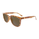 Paso Robles Knockaround - GLOSSY BLONDE TORTOISE SHELL