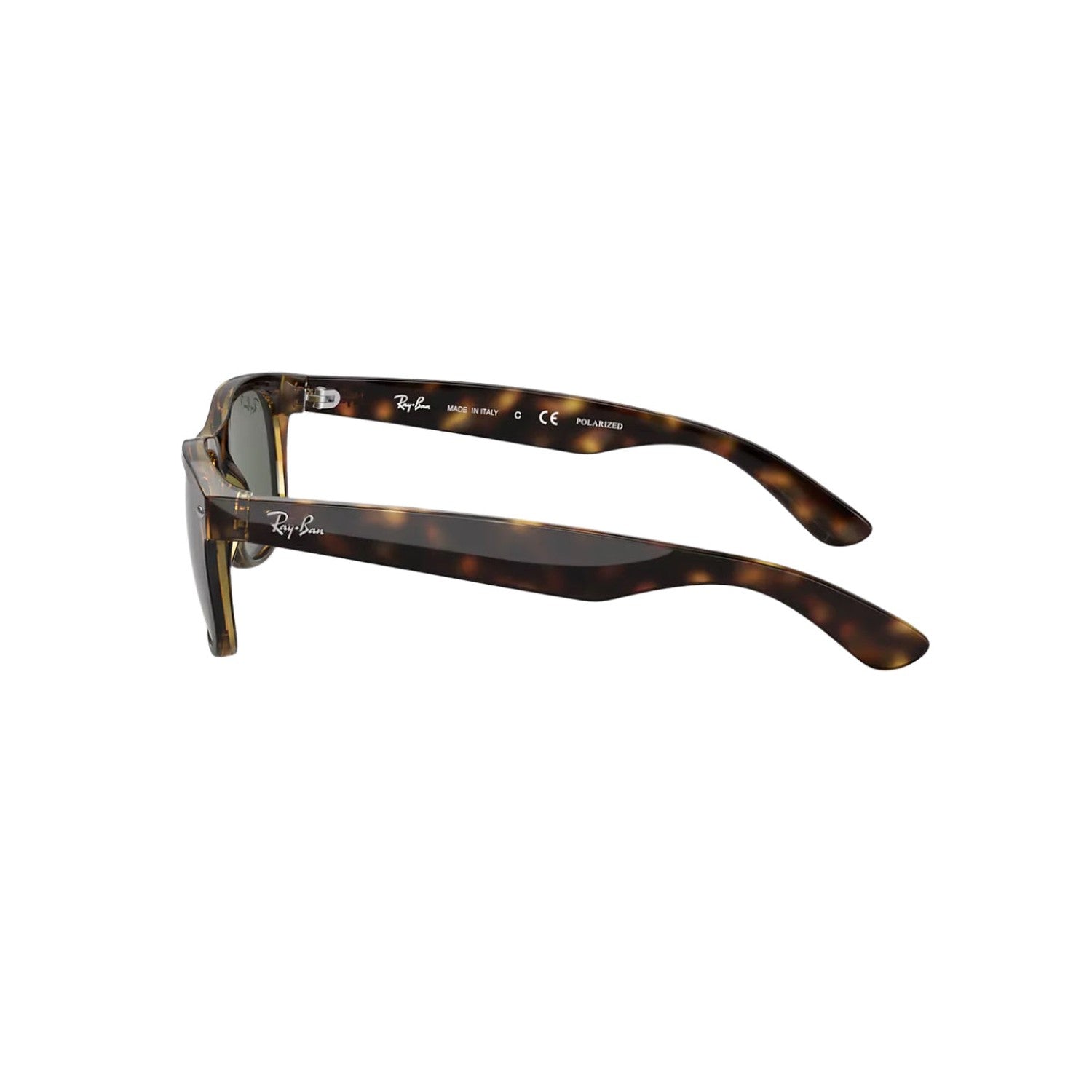 New Wayfarer | Tortoise / Green Polar Ray Ban