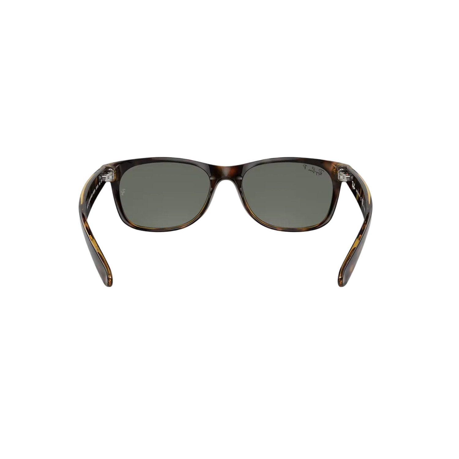 New Wayfarer | Tortoise / Green Polar Ray Ban