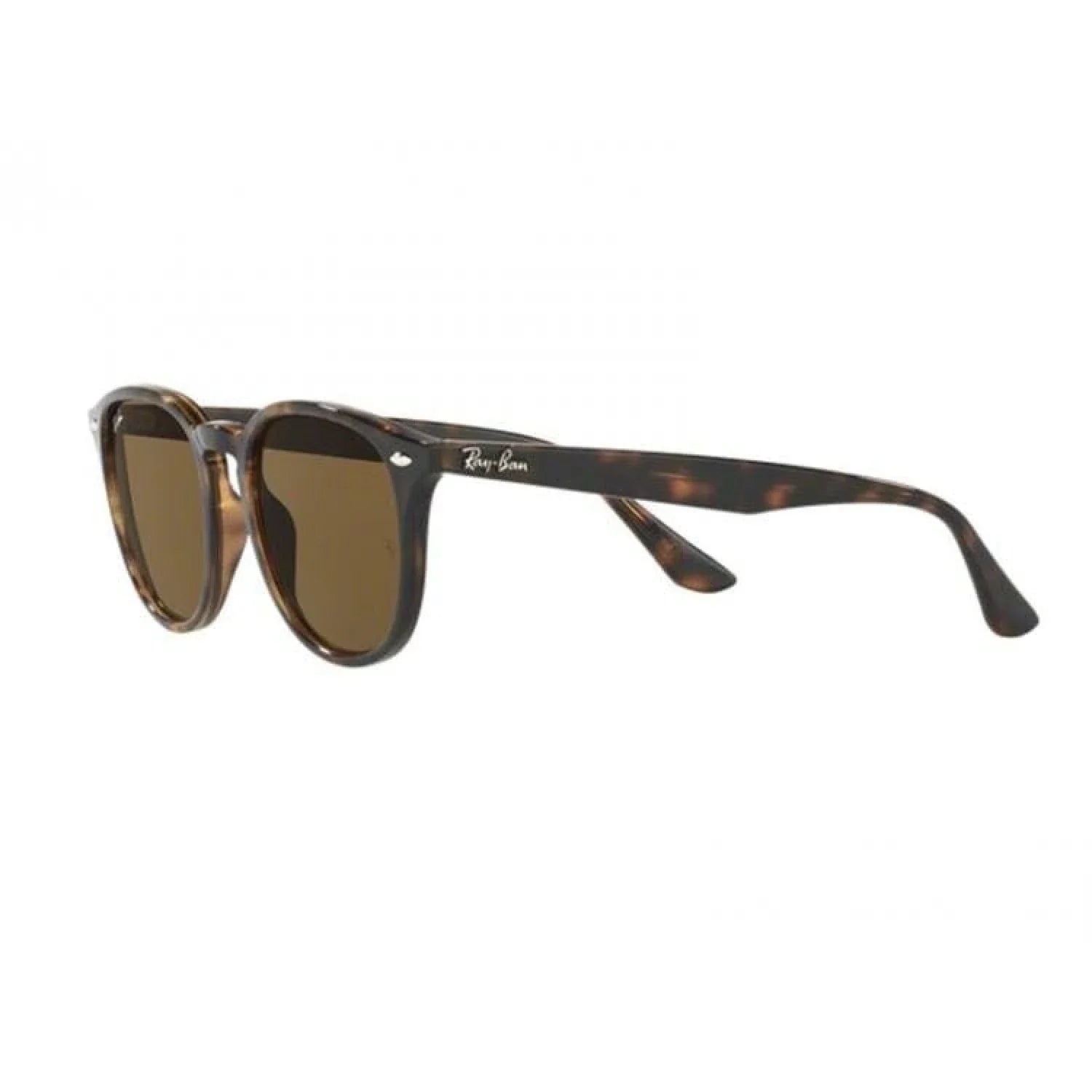 Rb4259 | Havana | Brown Ray Ban