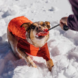 Huck-a-Cone Ruffwear