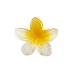 Women’s Super Bloom Clip Emi Jay - COCONUT